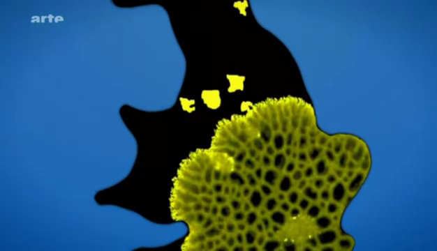 vlcsnap-2015-11-28-11h16m40s542