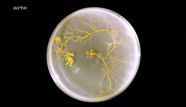 vlcsnap-2015-11-28-11h20m00s197